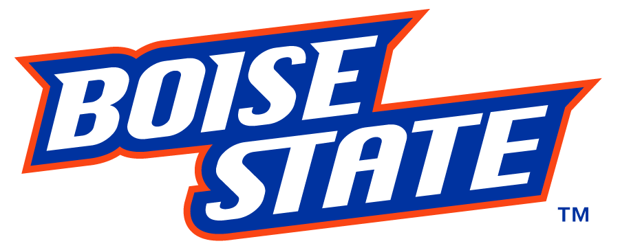 Boise State Broncos 2012-2013 Wordmark Logo iron on transfers for T-shirts